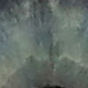 Meet your Posher, Ryleigh